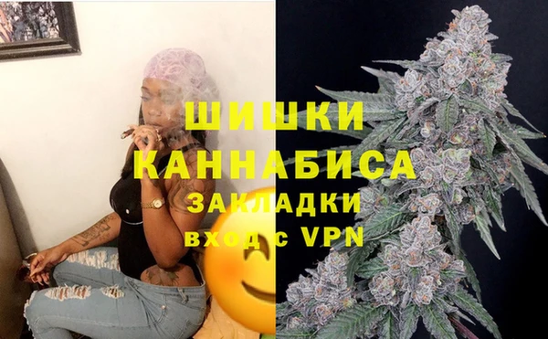 стаф Аркадак