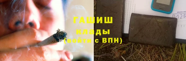 стаф Аркадак
