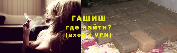 стаф Аркадак