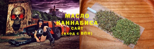 стаф Аркадак