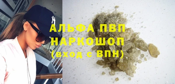 стаф Аркадак