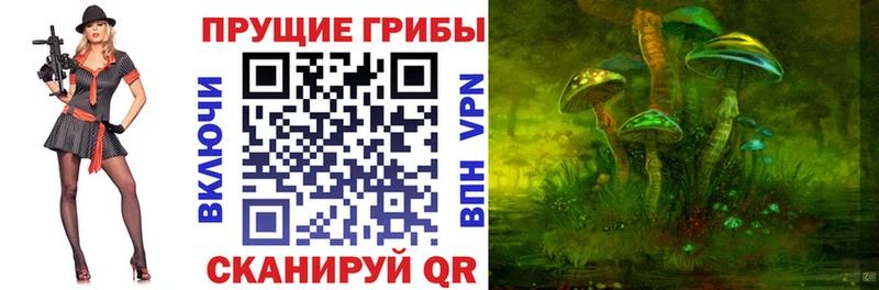 Псилоцибиновые грибы мухоморы  купить наркотики сайты  Малмыж 